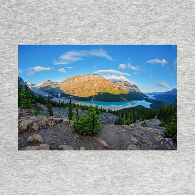 Banff National Park Canada Looking Down on Peyto Lake by WayneOxfordPh